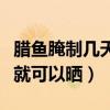 腊鱼腌制几天就可以晒太阳了（腊鱼腌制几天就可以晒）