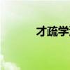才疏学浅意思解释（才疏学浅）