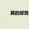 其的部首是什么（井的部首是什么）