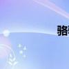 骆驼驿站（骆驿系统）