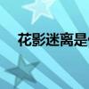花影迷离是什么意思（迷离是什么意思）