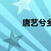 唐艺兮乡村爱情表演者（唐艺兮）