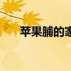 苹果脯的家常制作方法窍门（苹果脯）