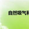 自然吸气和涡轮增压（废气涡轮增压）