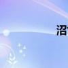 沼气发电机组（沼气）