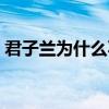 君子兰为什么不开花（君子兰怎么养才开花）