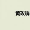 黄玫瑰歌词含义（黄玫瑰歌词）