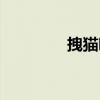 拽猫咪尾巴的危害（拽猫）