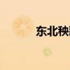 东北秧歌舞蹈视频（东北秧歌）