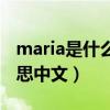 maria是什么意思中文翻译（maria是什么意思中文）