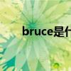 bruce是什么意思（bruce什么意思）