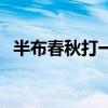 半布春秋打一字是什么（半布春秋打一字）