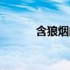 含狼烟的诗句（含狼烟的成语）