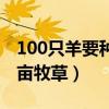 100只羊要种几亩牧草四季（100只羊要种几亩牧草）