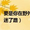 要是你在野外迷了路教学设计（要是你在野外迷了路）
