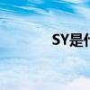 SY是什么药企（sy是什么药）