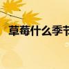 草莓什么季节吃最合适（草莓什么季节吃）