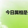 今日属相是什么生肖（今日属相是什么）