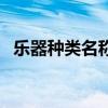 乐器种类名称图片大全幼儿园（乐器种类）