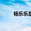 杨乐乐是谁的老婆（杨乐乐前夫）