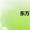 东方白鹳的拼音（东方白）