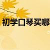 初学口琴买哪种好（初学口琴选哪种口琴好）