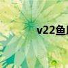 v22鱼鹰运输机（鱼鹰运输机）