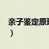 亲子鉴定原理的内容有哪些?（亲子鉴定原理）