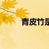 青皮竹是乔木还是灌木（青皮竹）