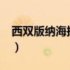 西双版纳海拔高吗?会高反吗（西双版纳海拔）