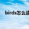 birds怎么读音发音 音标（birds怎么读）