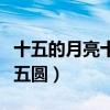 十五的月亮十五圆是什么生肖（十五的月亮十五圆）