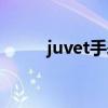 juvet手表官网价格图片（juvet）