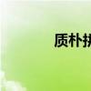 质朴拼音和意思（质朴拼音）
