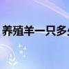 养殖羊一只多少利润（养羊20只一年的利润）