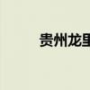 贵州龙里房价最新消息（贵州龙）
