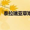 泰拉瑞亚草雉剑怎么做（泰拉瑞亚草雉剑）