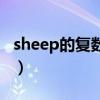 sheep的复数是什么（sheep复数形式是什么）