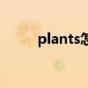 plants怎么读音(plants怎么读) plants怎么读音(plants怎么读)