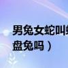男兔女蛇叫蛇盘兔吗 对谁好（男兔女蛇叫蛇盘兔吗）