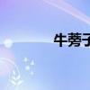 牛蒡子的功效与作用（牛芮）