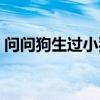 问问狗生过小狗能吃食吗怎么回答(问问狗) 问问狗生过小狗能吃食吗怎么回答(问问狗)