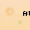 白电是什么意思（白电）