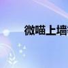 微喵上墙等级怎么划分（微喵上墙）