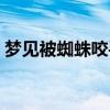 梦见被蜘蛛咬手是什么预兆（梦见被蜘蛛咬）
