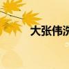 大张伟洗刷刷歌词（洗刷刷歌词）