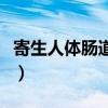 寄生人体肠道的线虫中体型最大者为（寄生人）