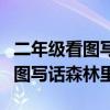 二年级看图写话森林里的动物聚会（二年级看图写话森林里）