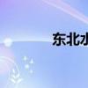 东北水仙叫什么（东北水仙）