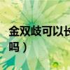 金双歧可以长期吃吗儿童（金双歧可以长期吃吗）